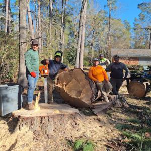 Garcia's Tree Experts