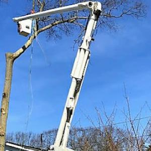 P.J.R Landscaping & Tree Service