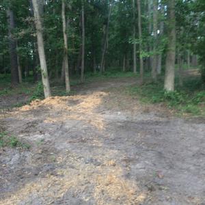 Affordable Tree Removal & Stump Grinding