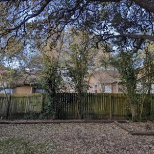 Central Texas Tree Care