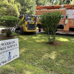 Waxhaw Tree Service