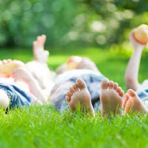 Harder Tree & Landscape Service