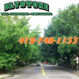Blystone Tree & Landscape