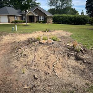 Premier Stump Removal