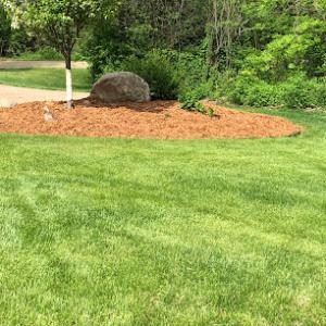 Green Team Lawn & Snow