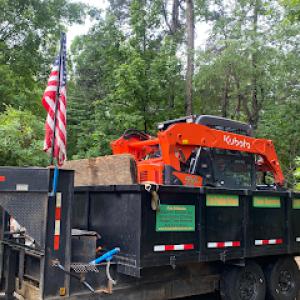 Tree Problem Solvers