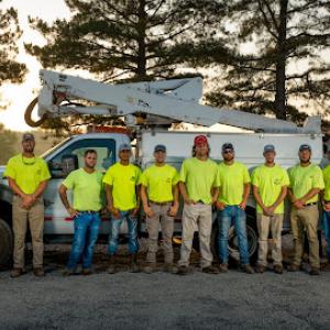 Natural State Tree Service