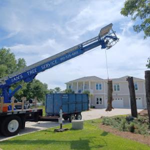 Ian's Tree Service