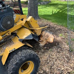 The Stump Grinder