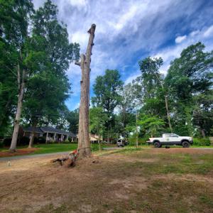 JBeez Outdoor Experts