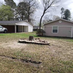 Molina Tree Service - Professional Tree Trimming, Tree Stump Removal & Grinding in Longview, TX