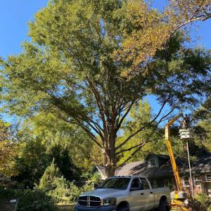 Tri cities yard & deck solutions