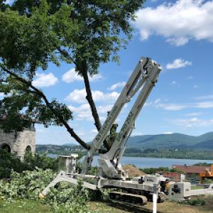 Armin's Tree Service