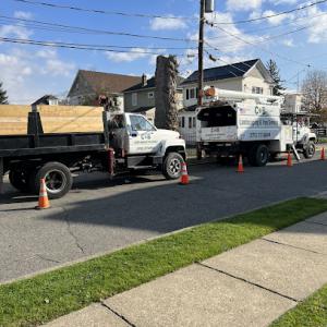 C&B Landscaping, Tree & Construction
