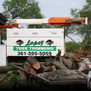 Lopez Tree Trimming