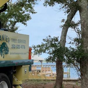 Lanier Tree Service, LLC -Tree Removal & Trimming