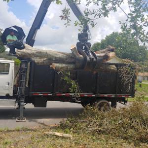 Continental Core Drilling & Tree Service