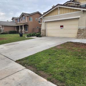 SG Gardening Landscape & Tree Services