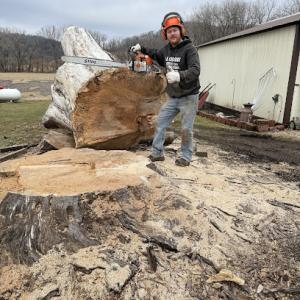 La Crosse Tree & Stump