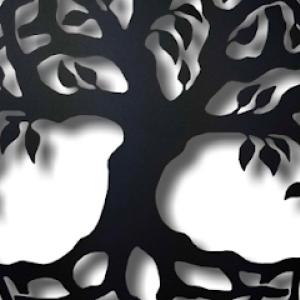 All American Tree Service