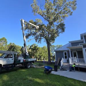 Stacks Tree Service
