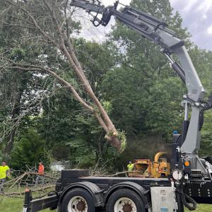 Garden Grove Tree Service