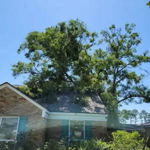 S & D Tree & Debris Removal Services