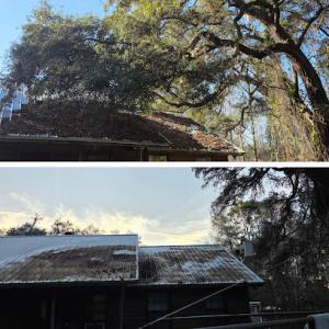 King's Land Services