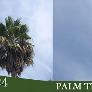 Ruben's Tree Service