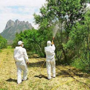 Tree Doctor USA - Tree Service San Diego