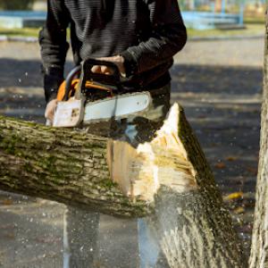 Rochester Hills Tree Pros