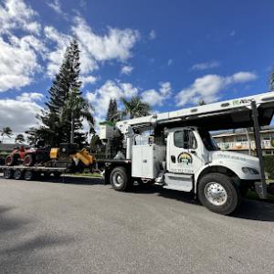 Tree Service
