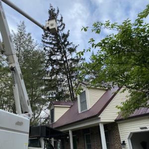 Ryan Cunningham Tree & Land Services