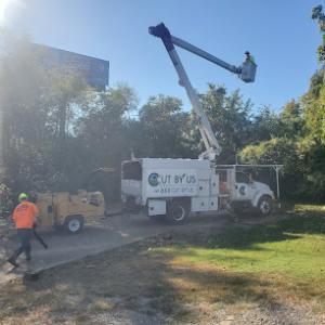 Cut-By-Us Tree Service