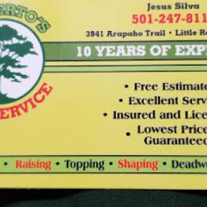 Alberto s' tree service