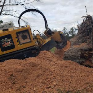 Jurassic Stump Shredders