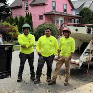 Nelson’s Hardscape & Tree Service