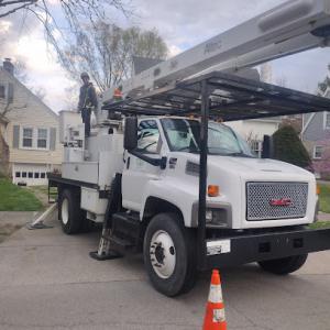 Arbor image tree service