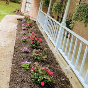 Angelina Landscaping