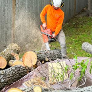 Woodmaster Tree Service