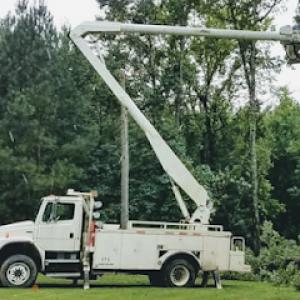 D&M Tree & Land Services