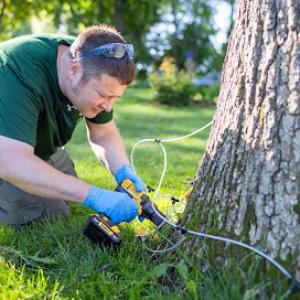 Innovative Tree Care Specialists