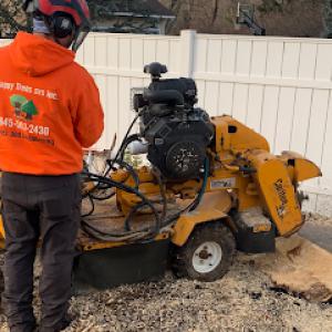 Happy Trees Services