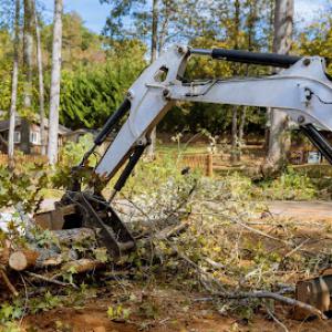 High Vision Tree Services