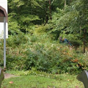 Jose´s Tree service