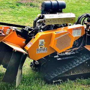 Stump Grinding by Budding Properties