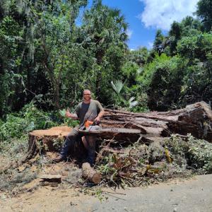 Captain's Tree Service