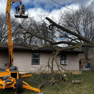 Meredith Tree Service