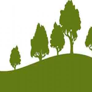 Delchester Tree Service