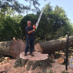 Mark Tuttle Tree Service